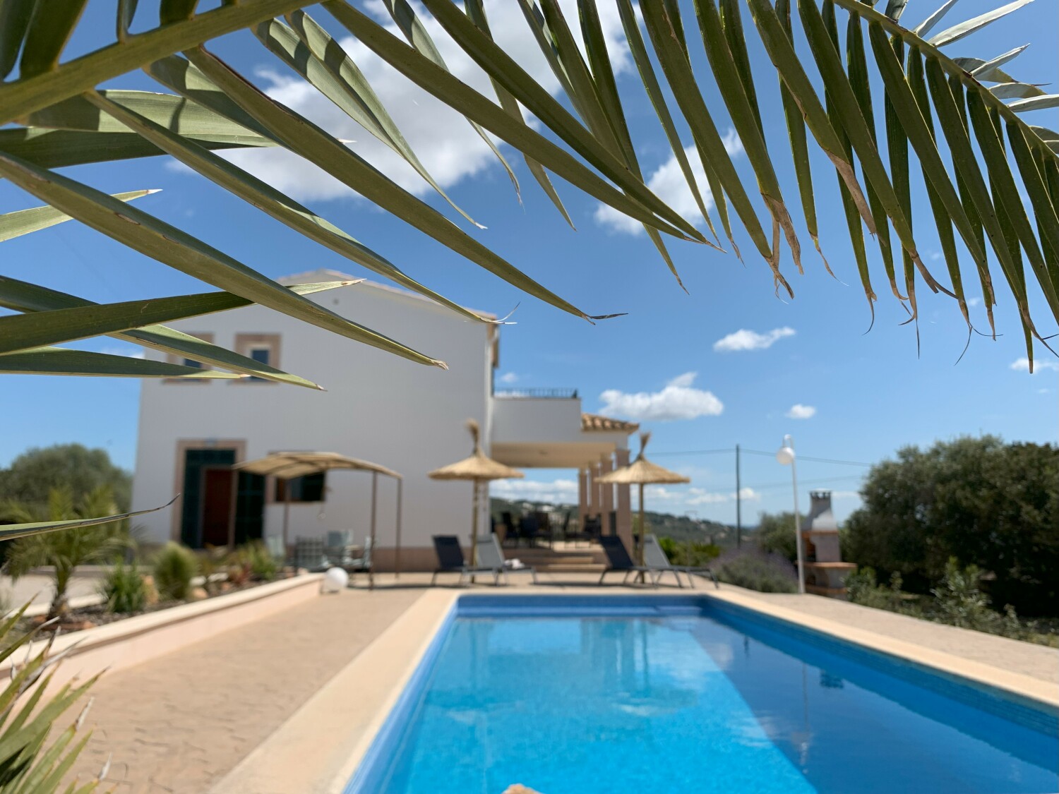 IMG_2226 - Kopie.jpg