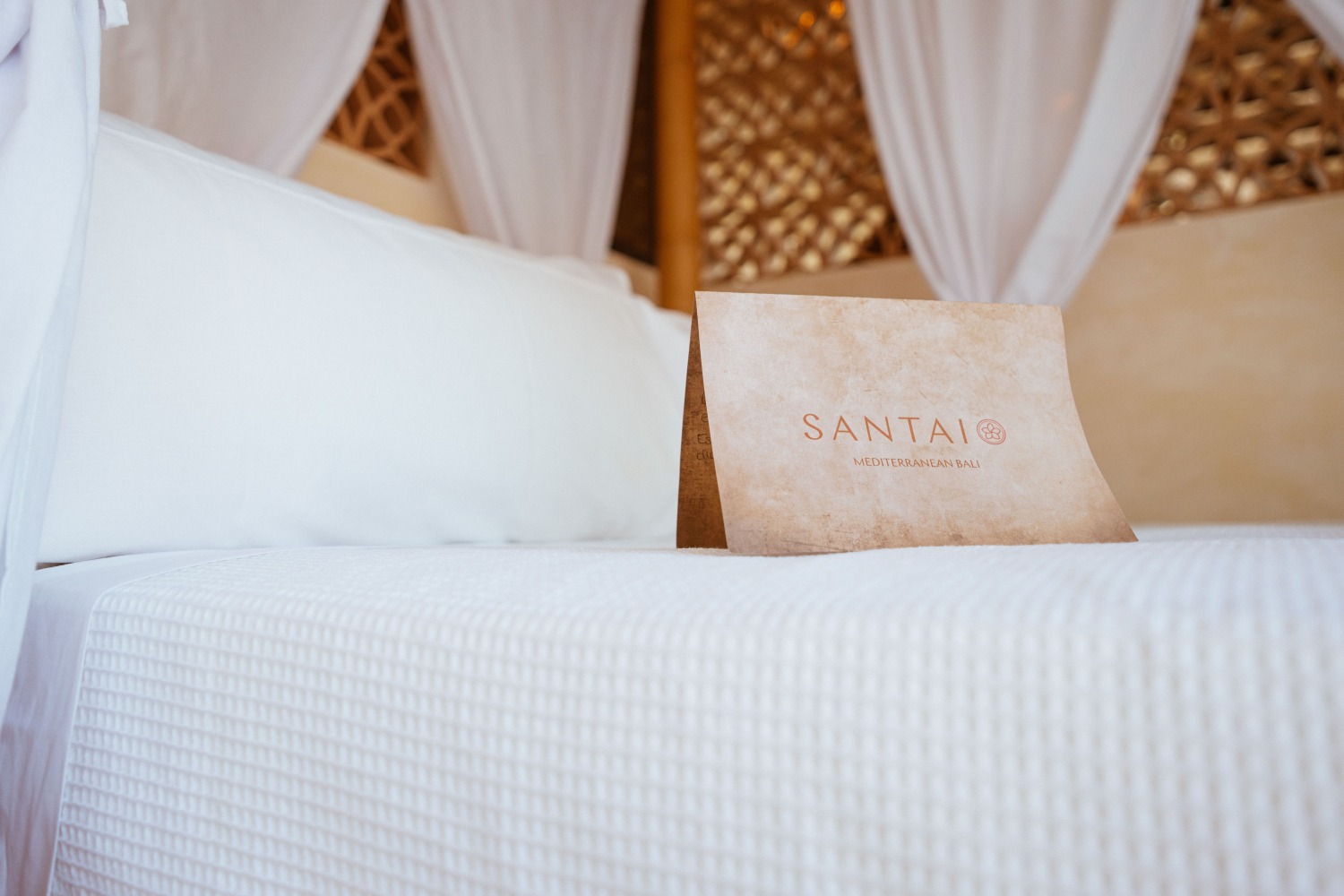 09072024SANTAI COLORDSC09493.jpg