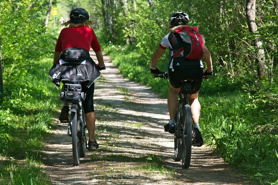 2 Radfahrer im Sommer.jpg