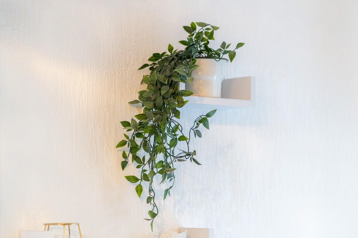 134 Clare Rd Cardiff CF11 6RW 085.jpg