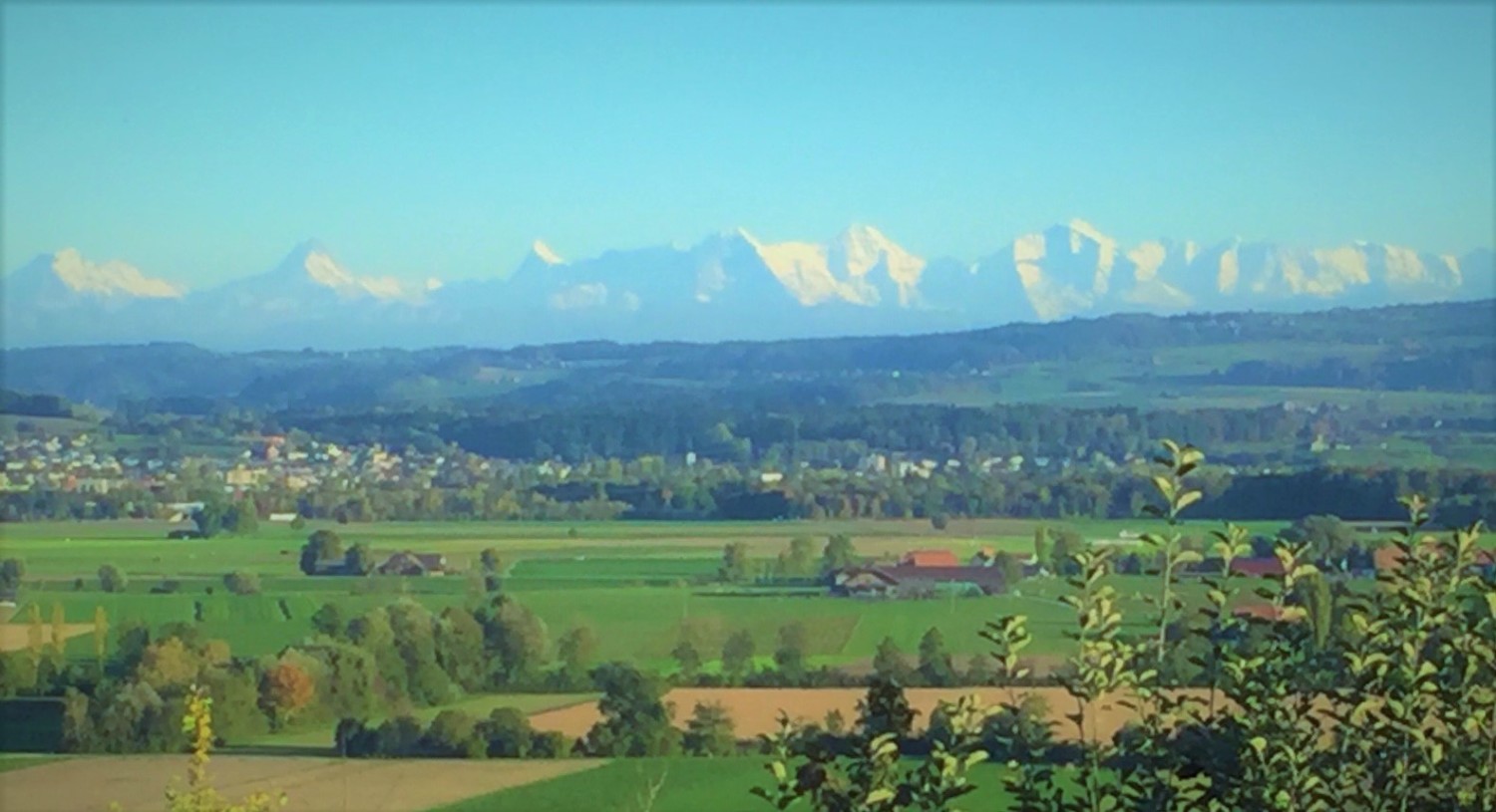 View to the Alps (2).jpg