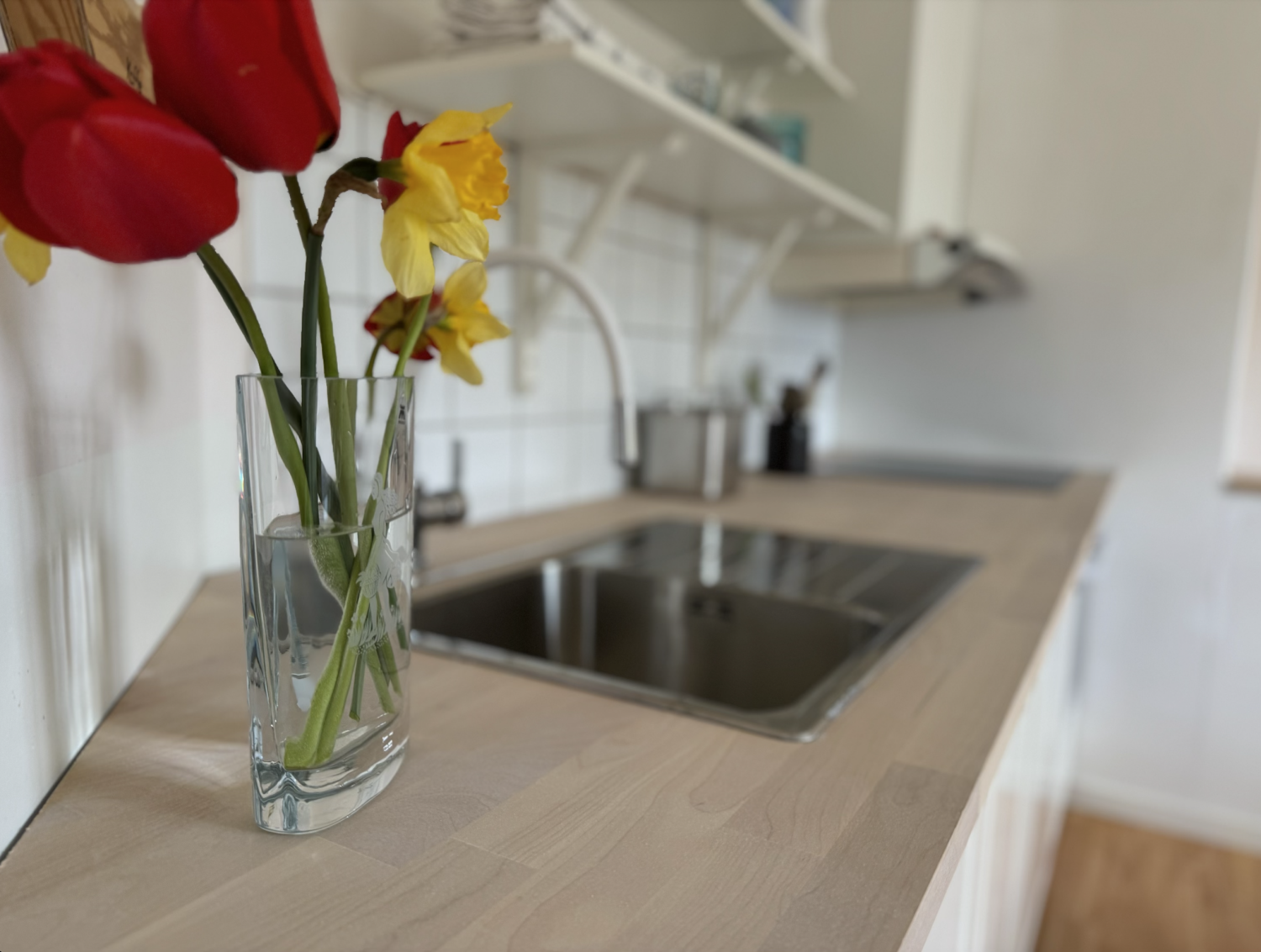 Animskogs Kyrkskola Apartment Björk - Küche Arbeitsplatte.png