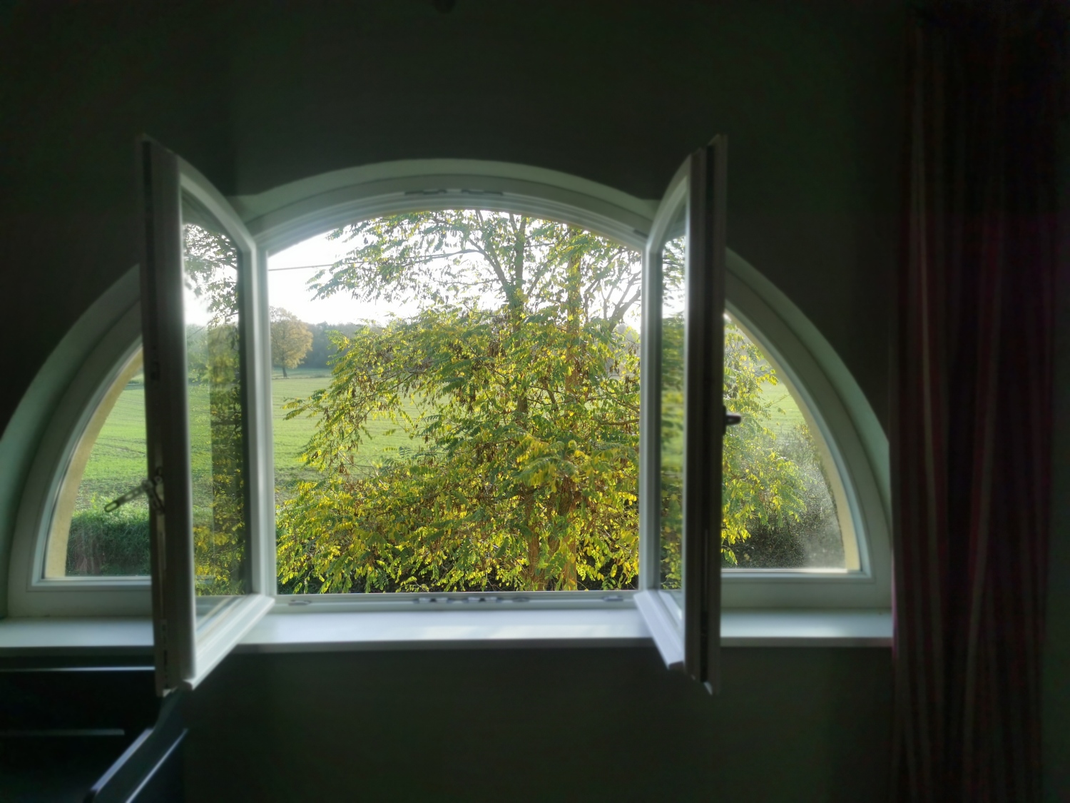 NG OG SZi grün3_20221110_091808.jpg