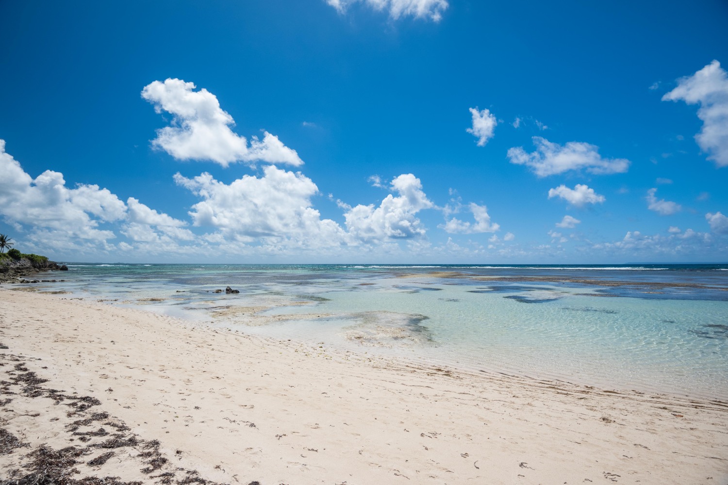 Studio Anse des Rochers 110424©JessicaLaguerre-0562.jpg