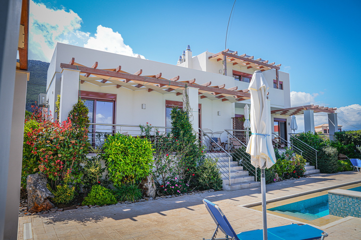 PhenOmena back 3.jpg