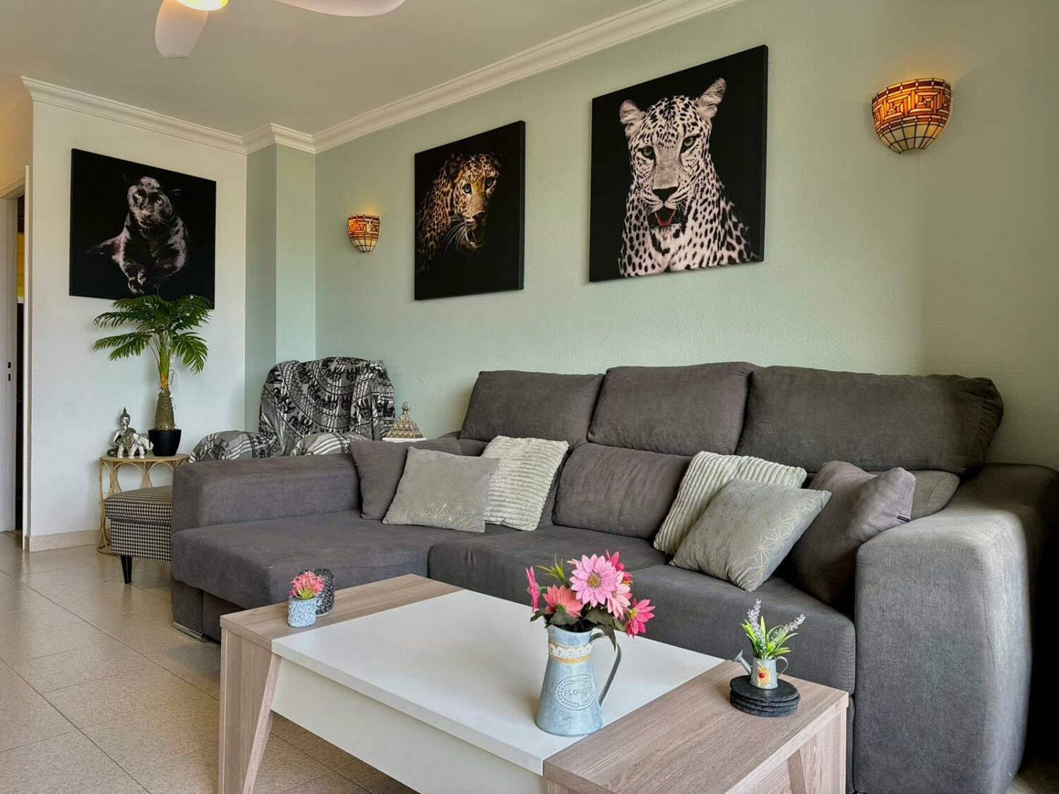 WhatsApp Image 2026-01-06 at 22.30.55 (3).jpeg