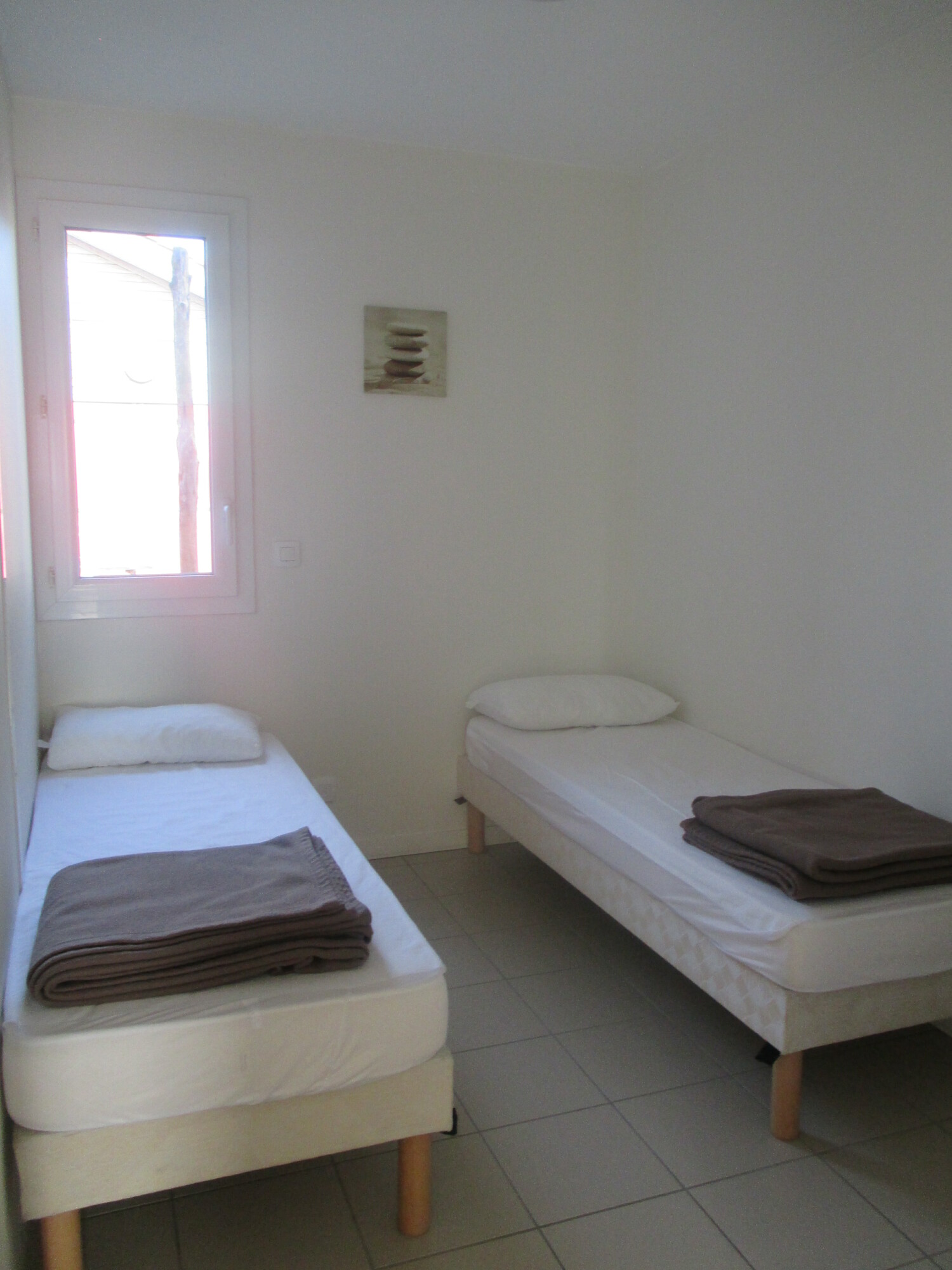 cistude grande chambre.JPG