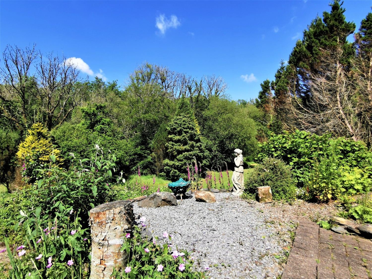 IMG_20210622_153543 (2).jpg