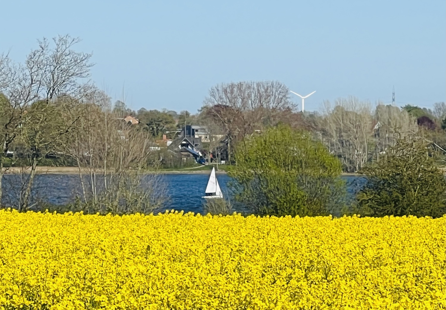 Schlei Segelboot.jpg