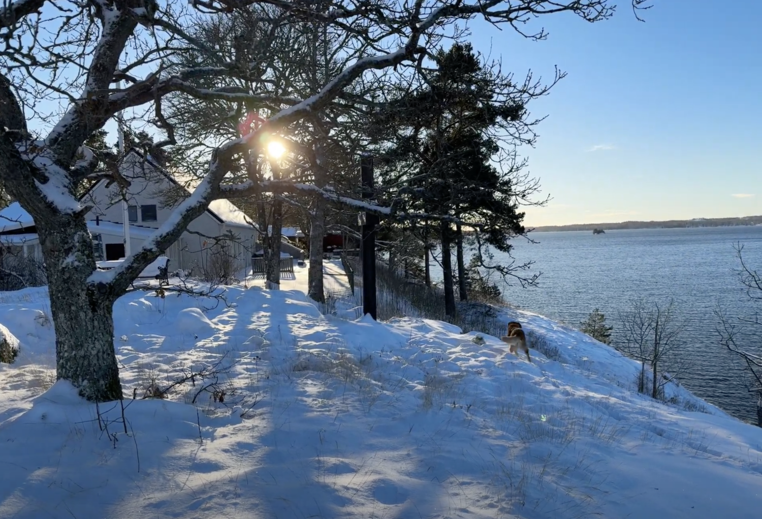 Animskog Kyrkskola Försammlingshem Lake Animmen Sweden Winter.png