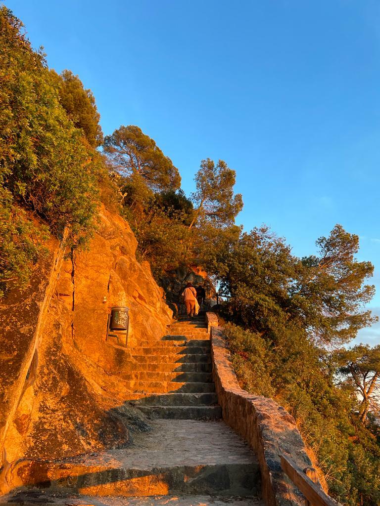 391a4f58-9c1a-4ef3-b66f-0b8f8d489d41 2.JPG