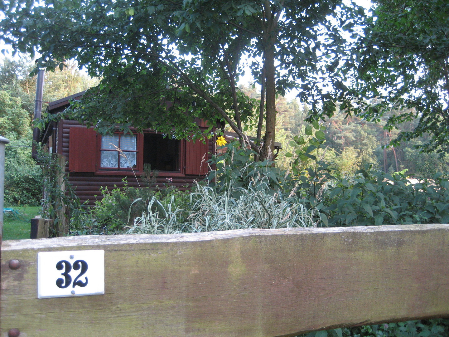 2015-08-14 19.25.36.jpg