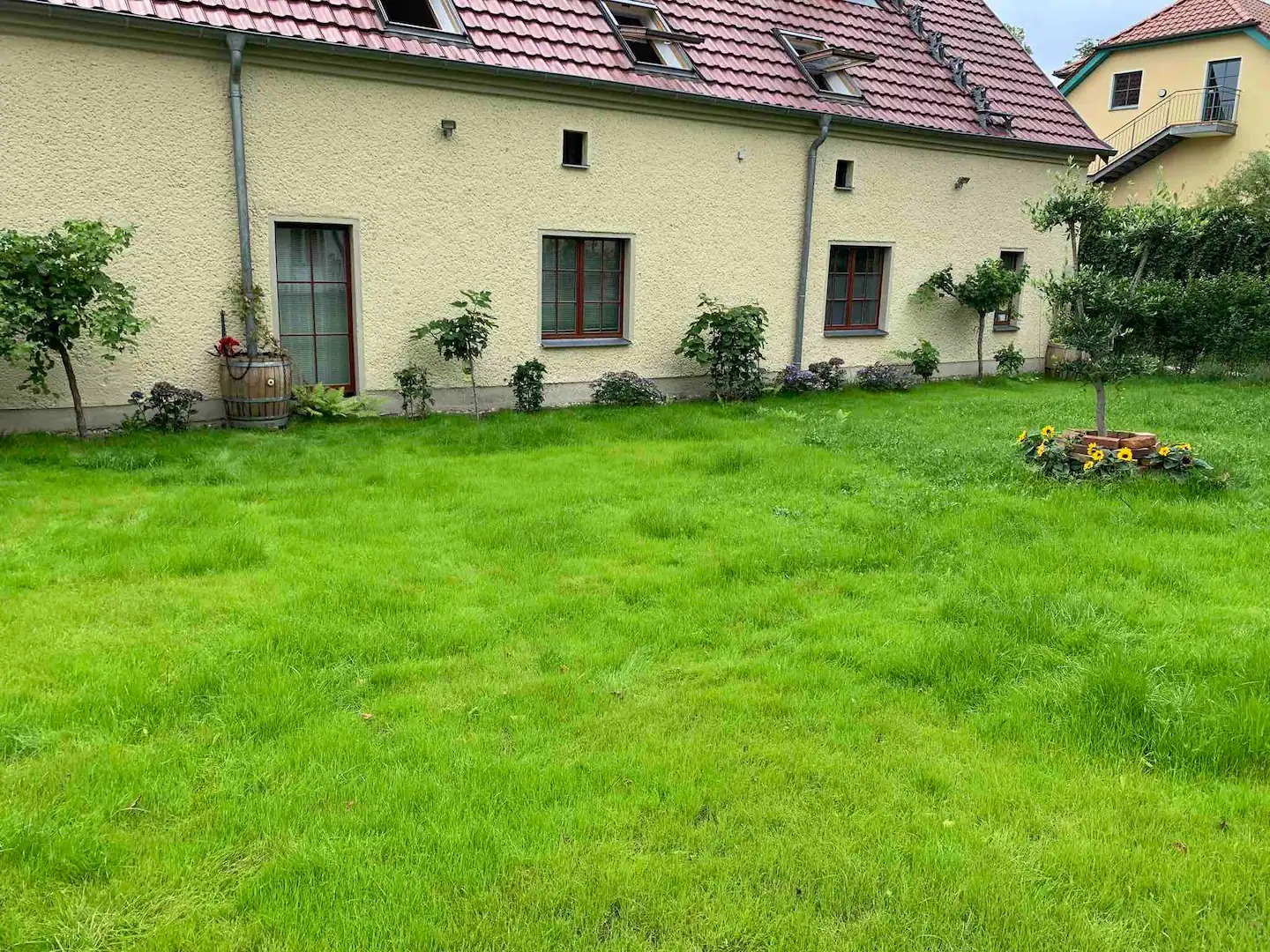 WhatsApp Image 2024-10-14 at 13.47.49 (3).jpeg