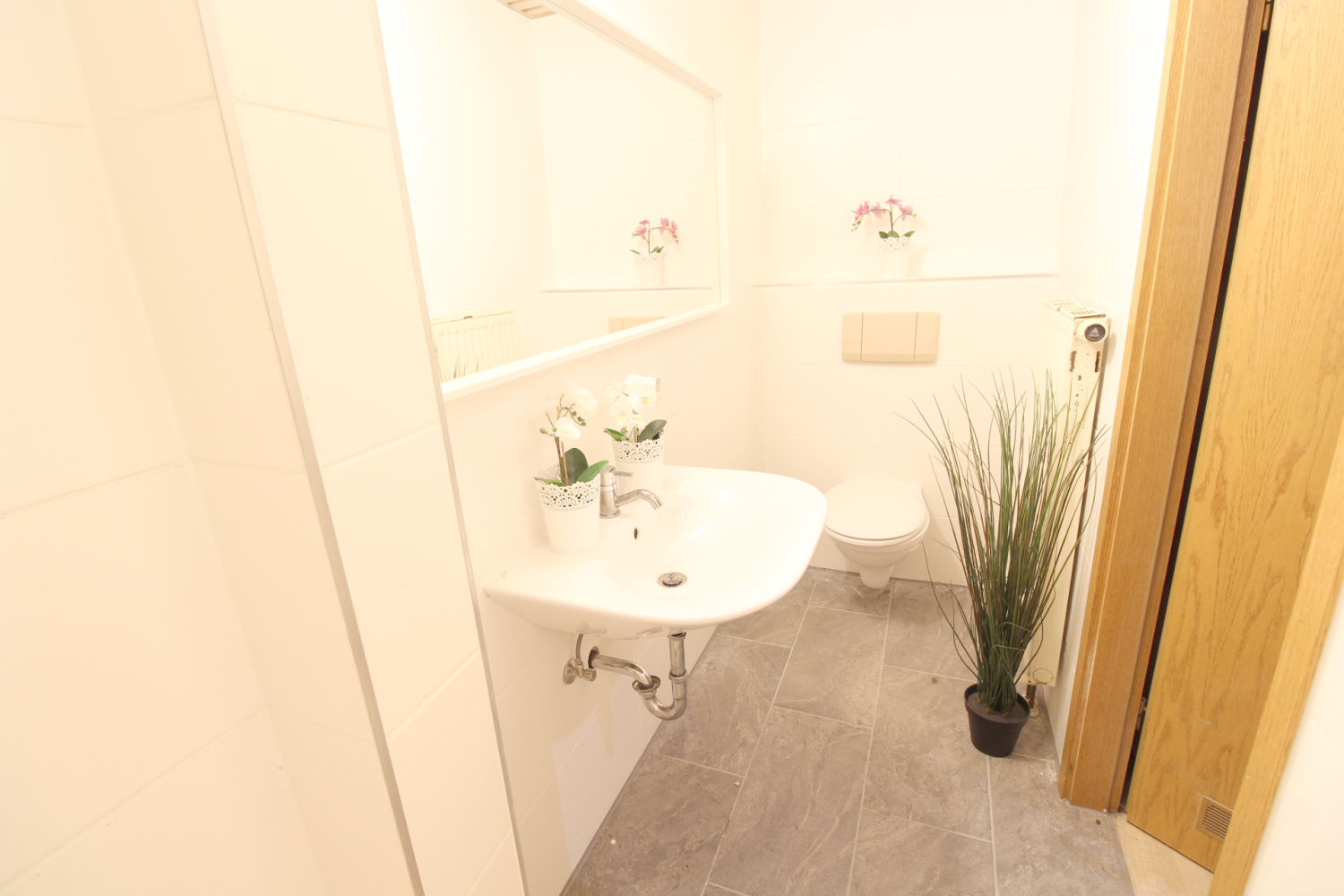 2022-11-01 - 206-bad-e_b.jpg