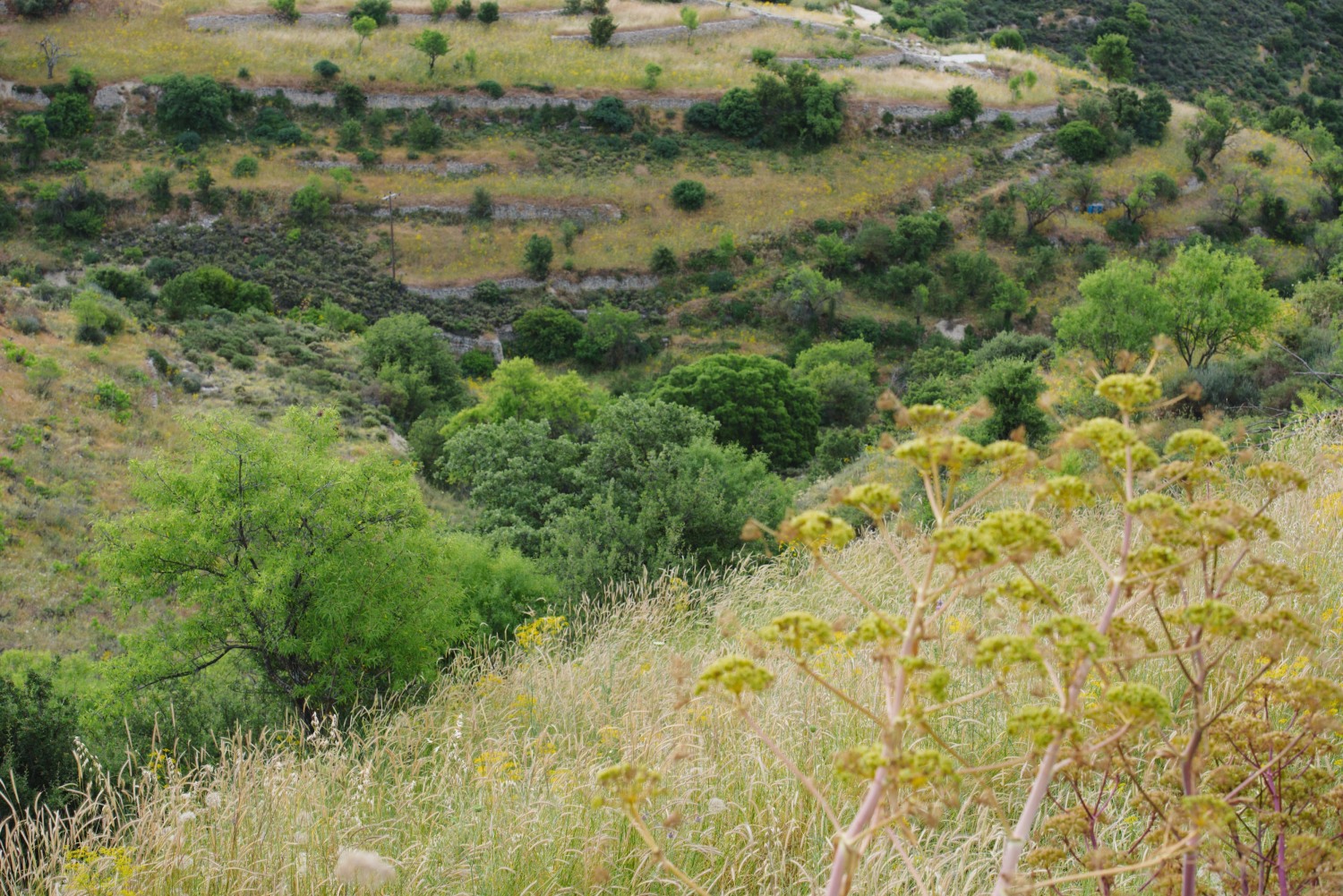 22 MAH19_2470 Serenity House.jpg