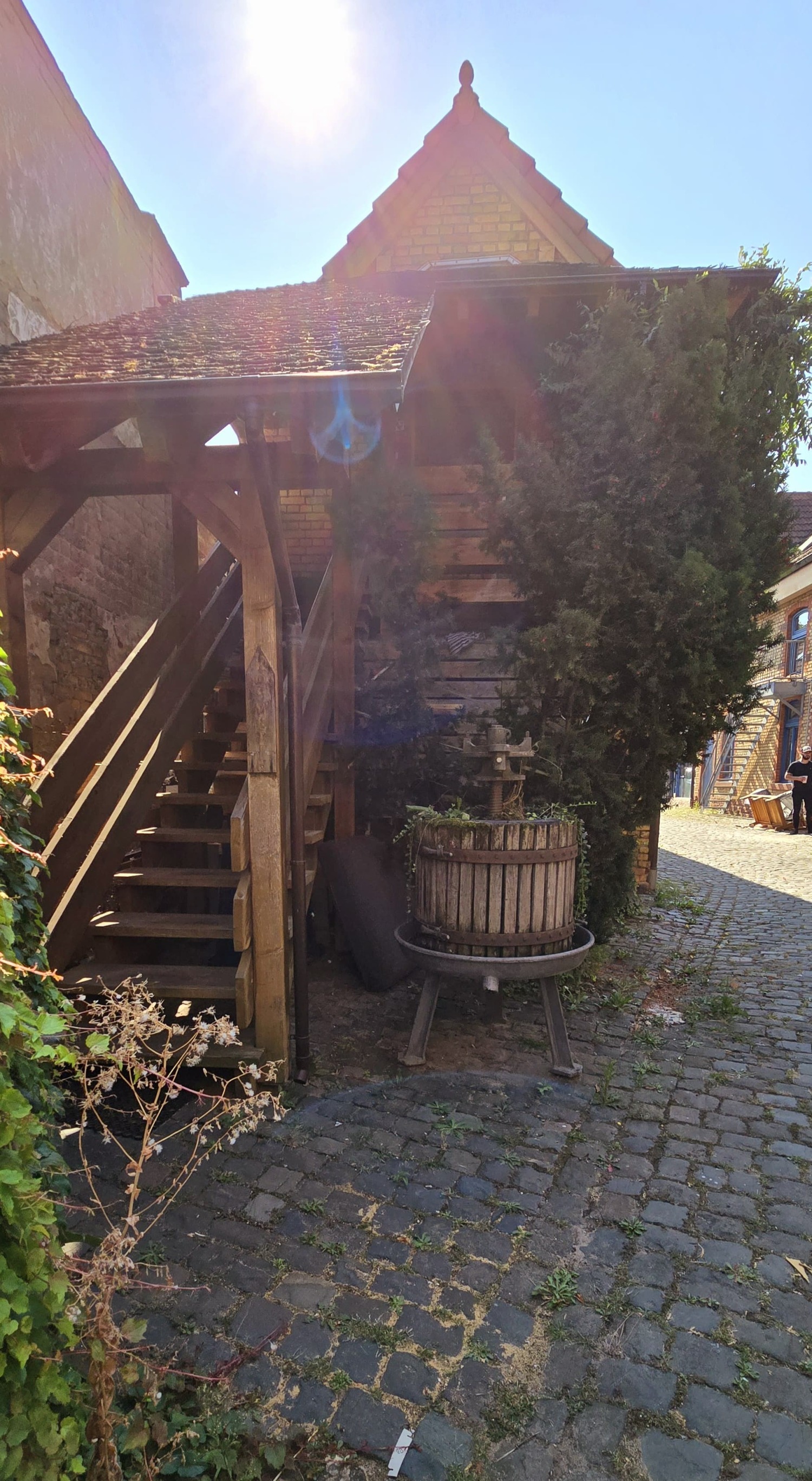 WhatsApp Bild 2024-11-14 um 22.20.18_69cdbe39.jpg