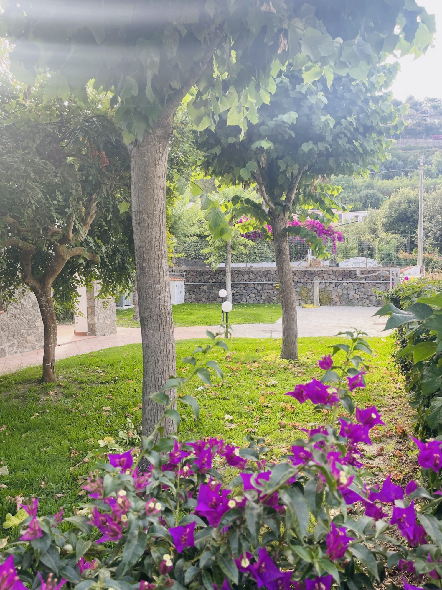 giardino fiori (3).JPEG