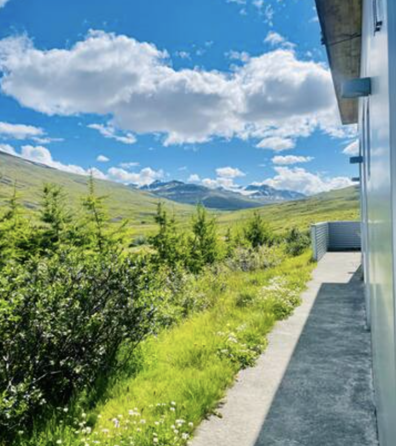 Screenshot 2022-11-16 at 13.09.49.png