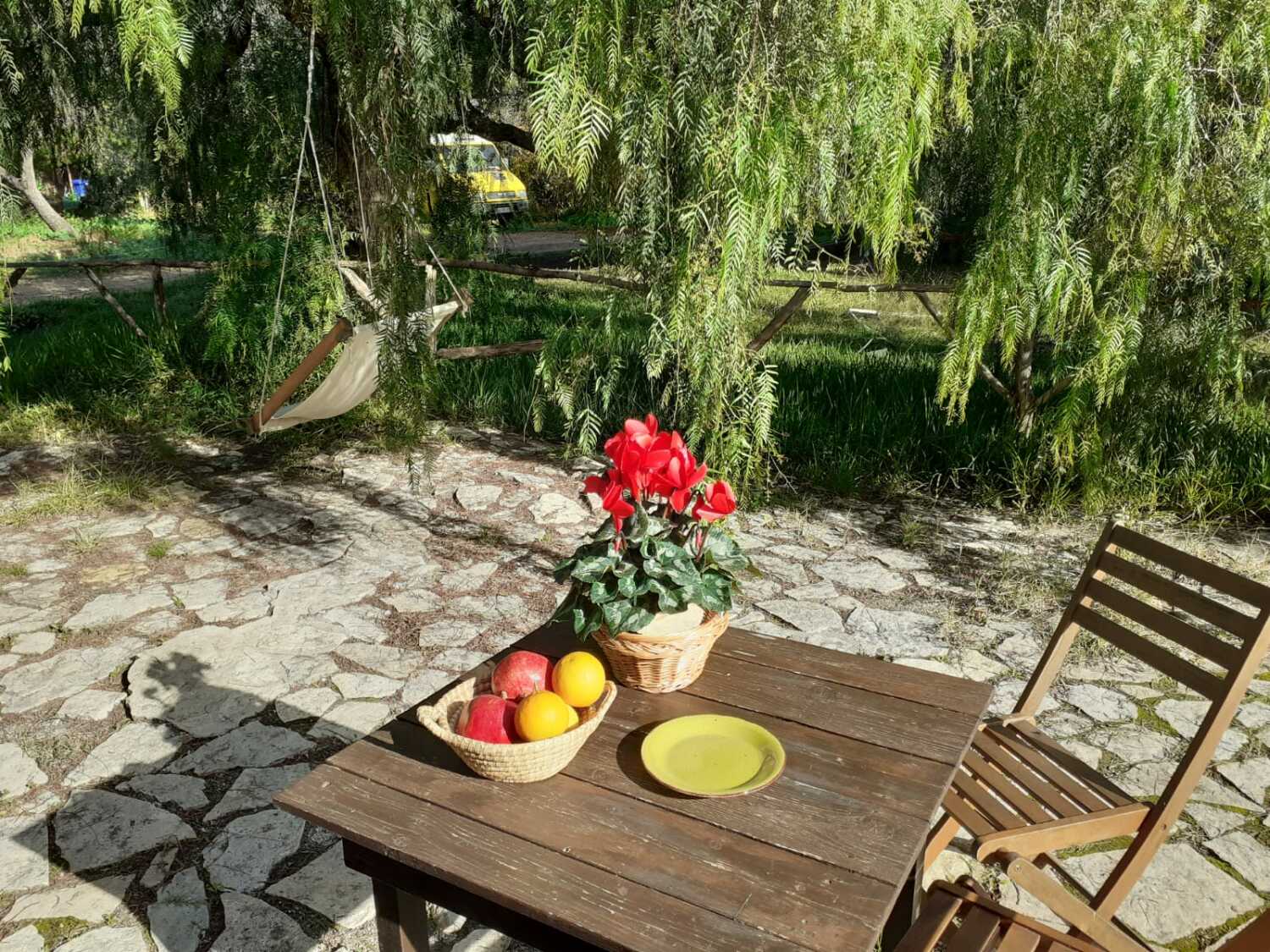 WhatsApp Image 2022-12-08 at 1.34.26 PM (1).jpeg