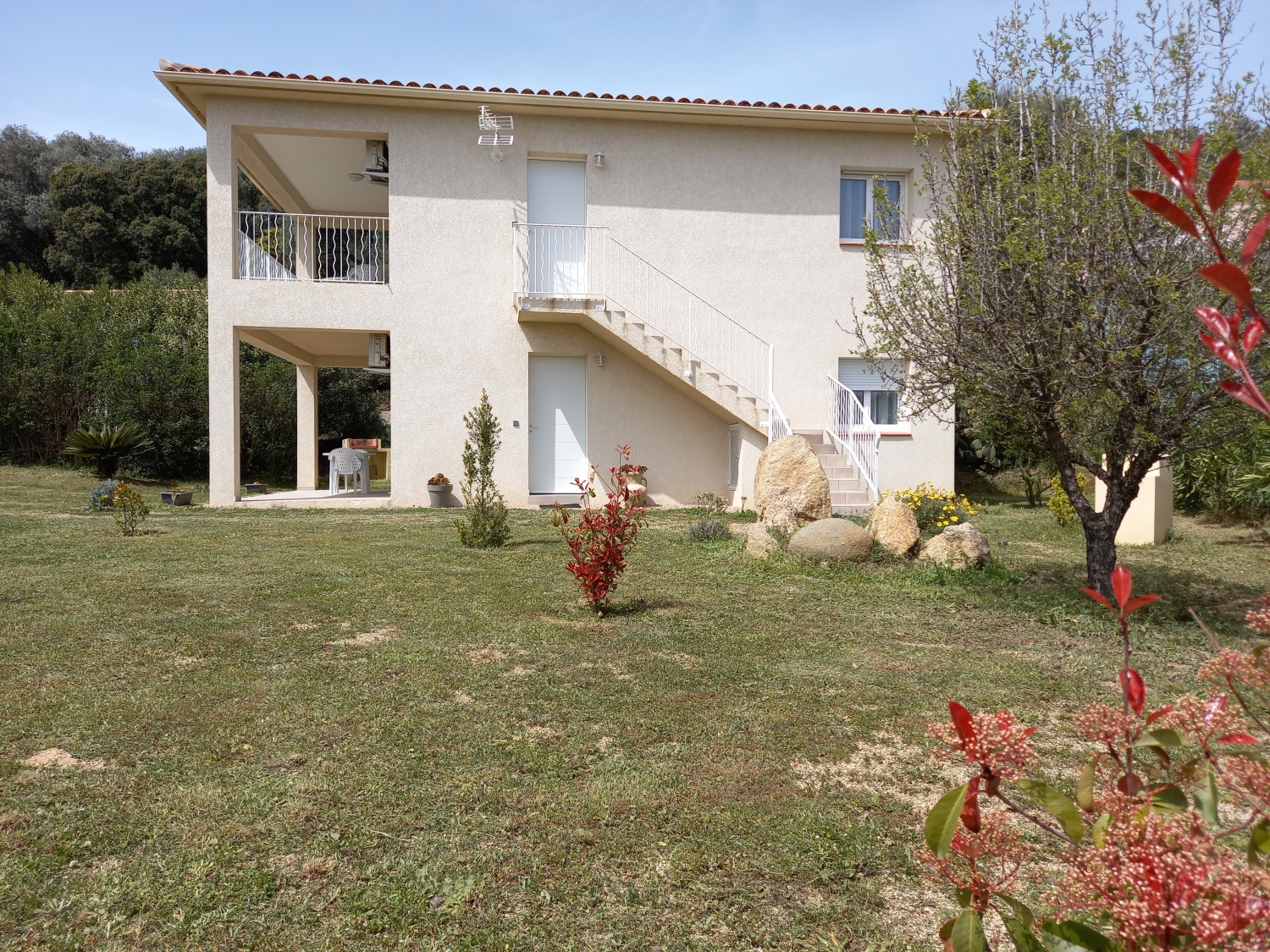 photos l alivu et u mandarinu.jpg