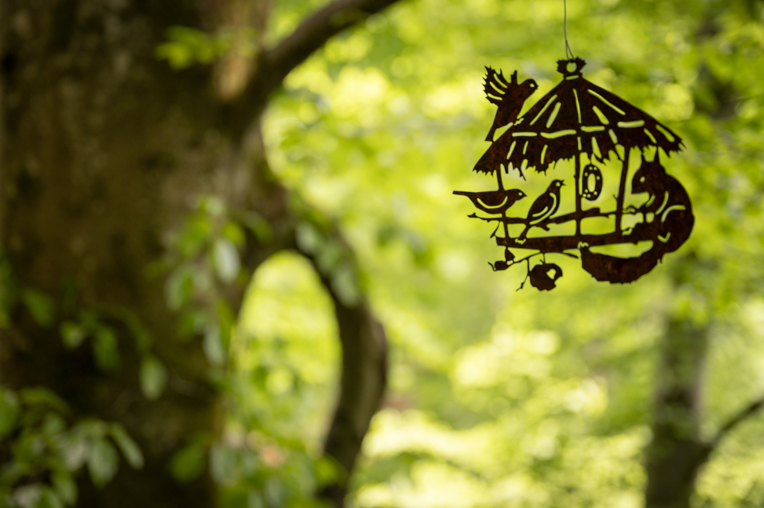 pat' de l'ours-78.JPG