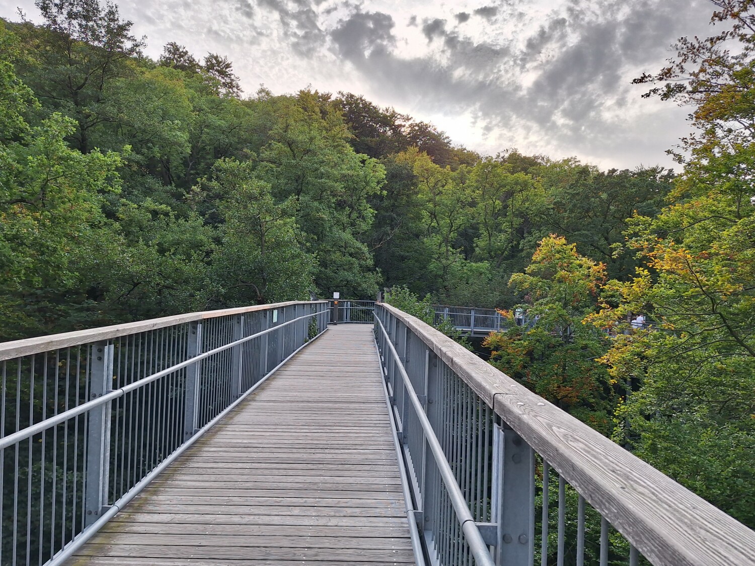 20231002_171100 2.jpg