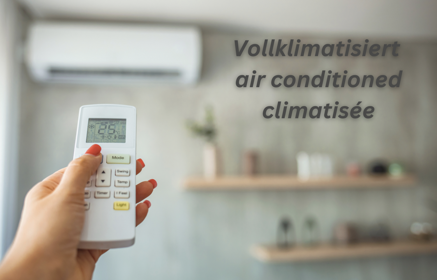 Bildschirmfoto 2024-08-13 um 21.31.46.png