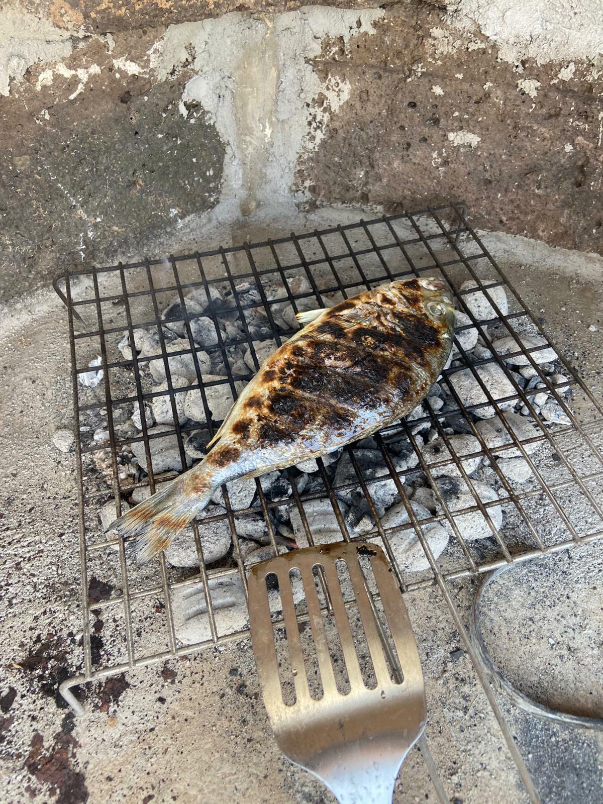 WhatsApp Image 2025-06-09 at 13.50.18.jpeg