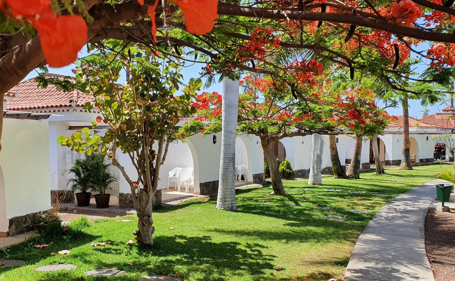 20210524_115919 (3).jpg