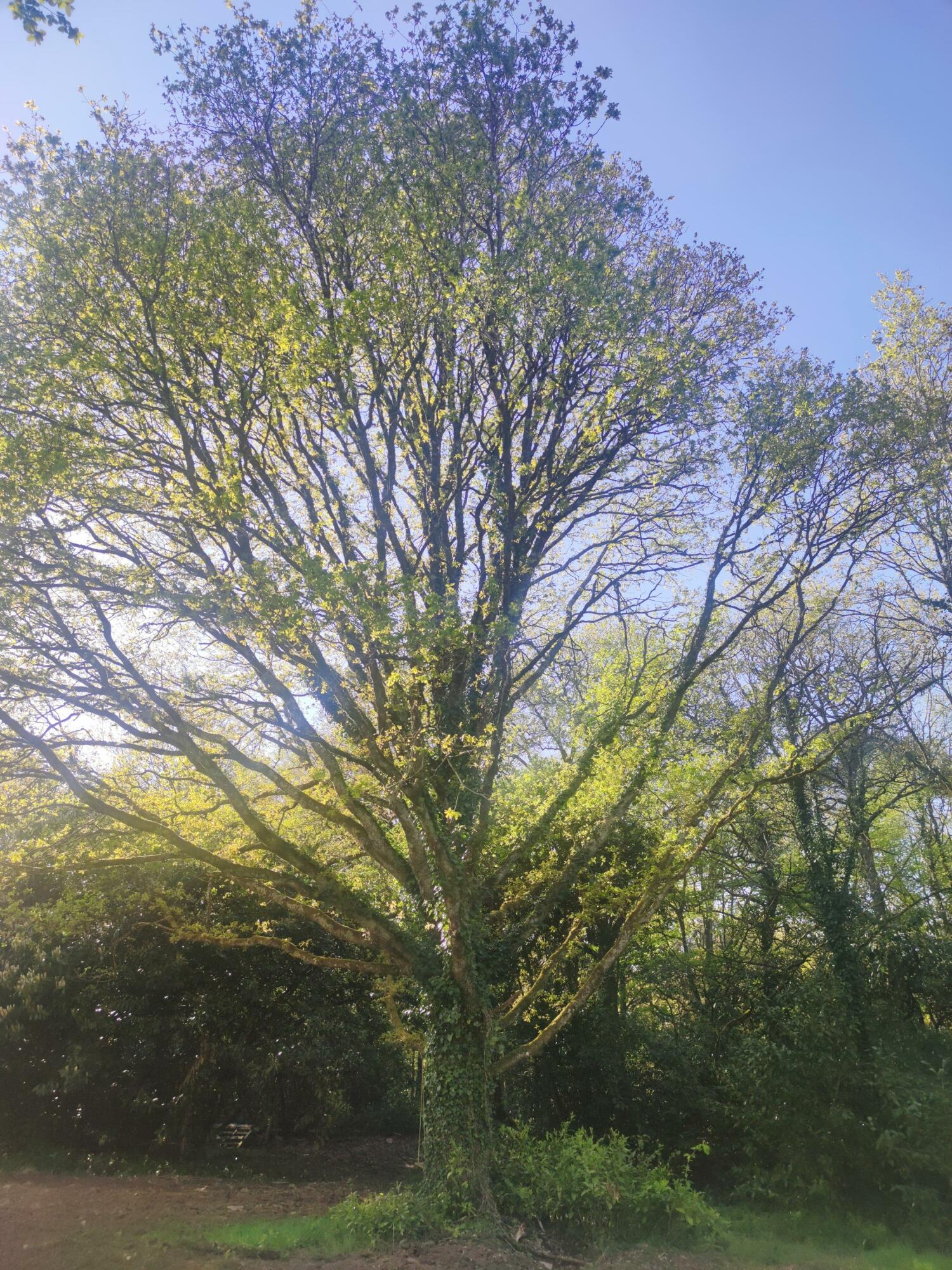 MicrosoftTeams-image (85).jpg