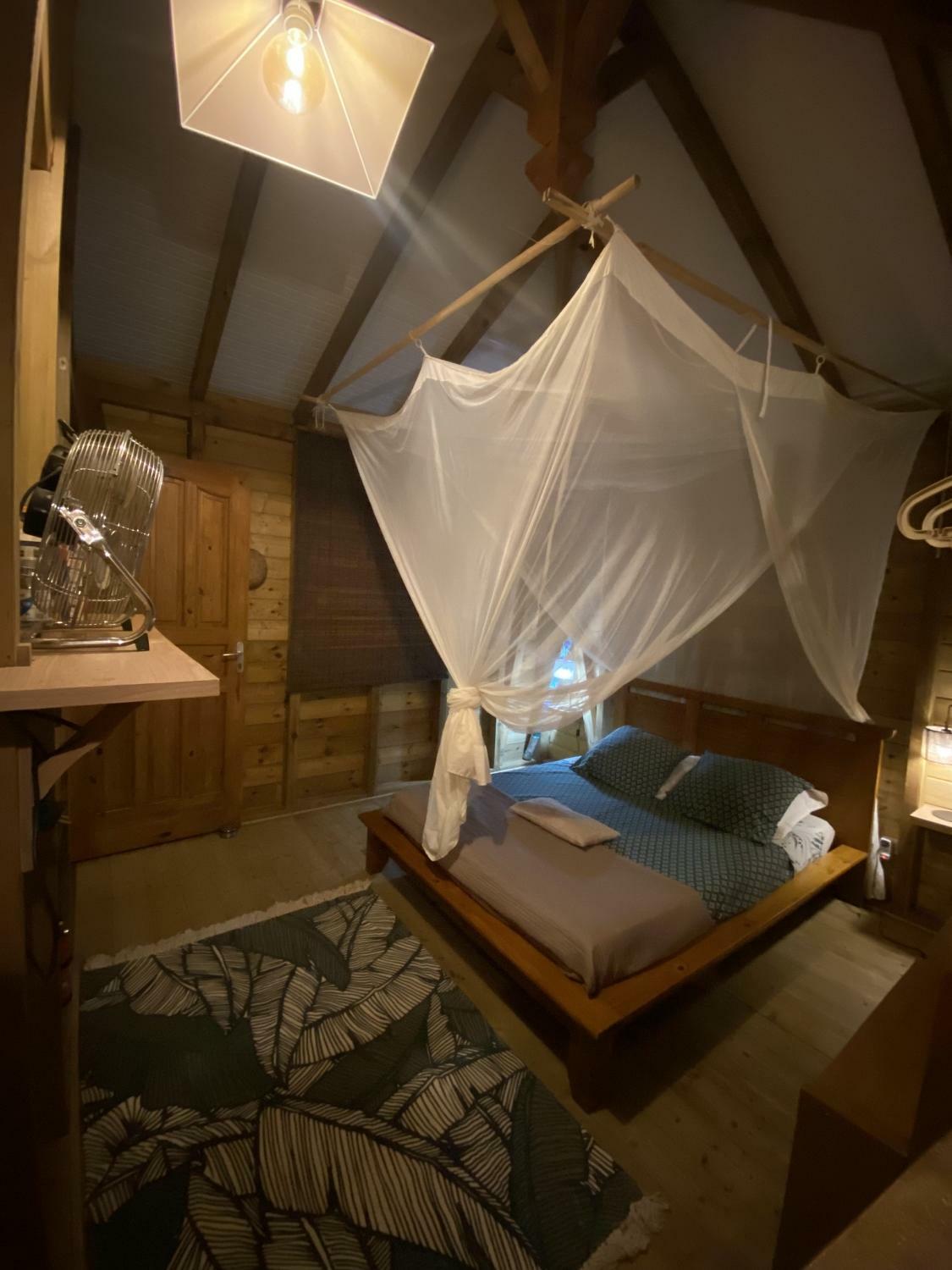 ok 28-11-2022 18 05 48.jpg