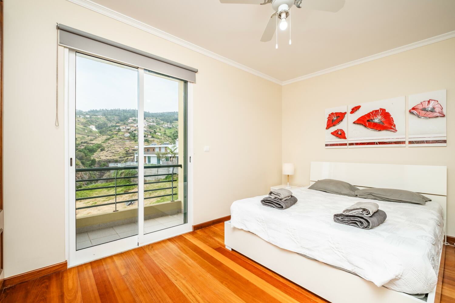 Photo-3 - Cópia.jpg