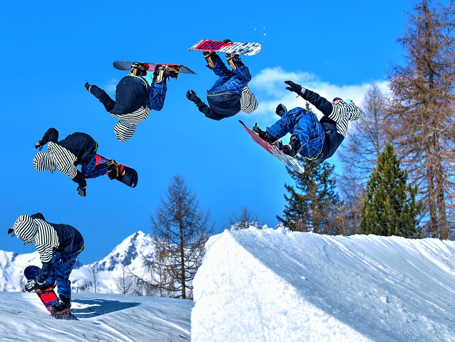 steve_gatto - 13.jpg