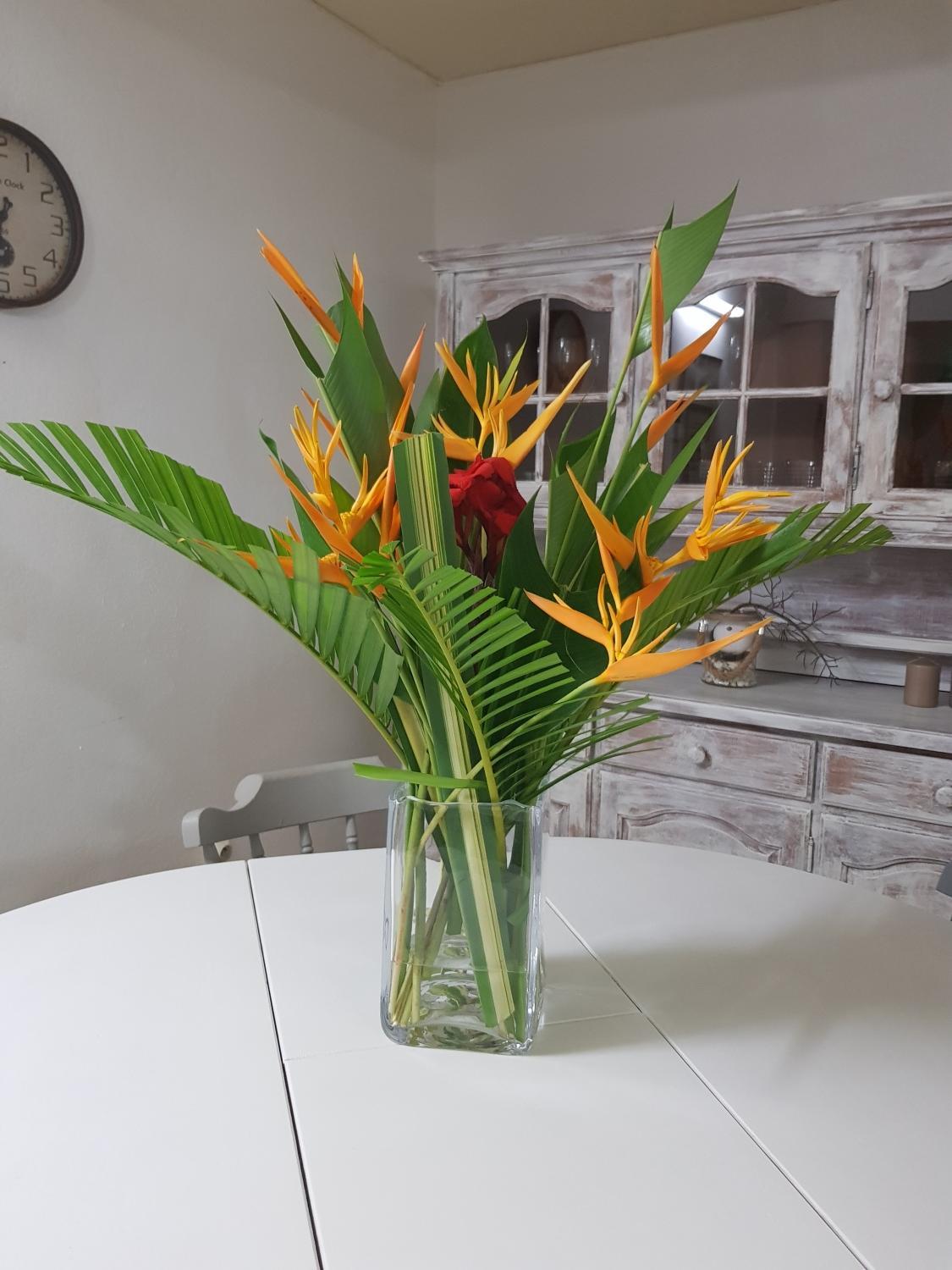 Rdc manguier (10;).jpg