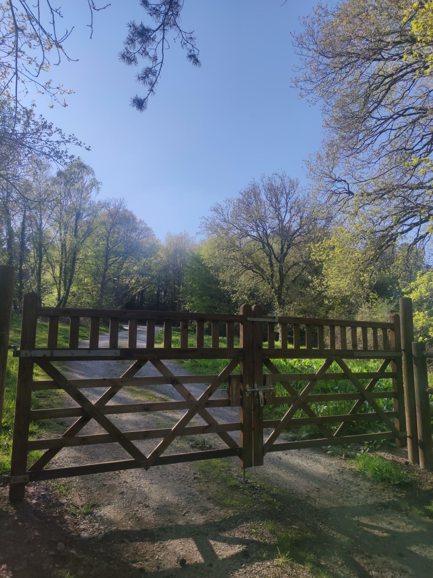 MicrosoftTeams-image (73).jpg