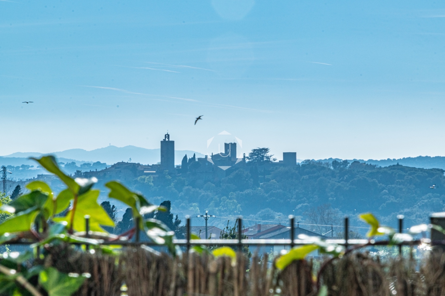 Casa Luja del Campo, pals, Llevadora, unique Costa brava0041.jpg