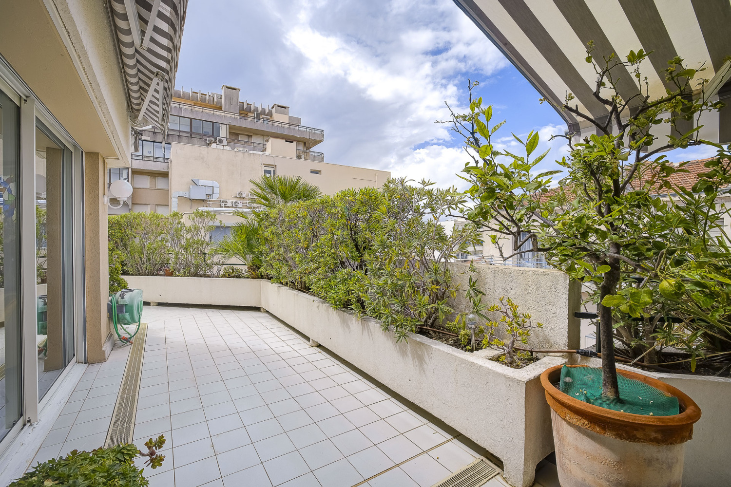 juan 2 - internet-30.jpg