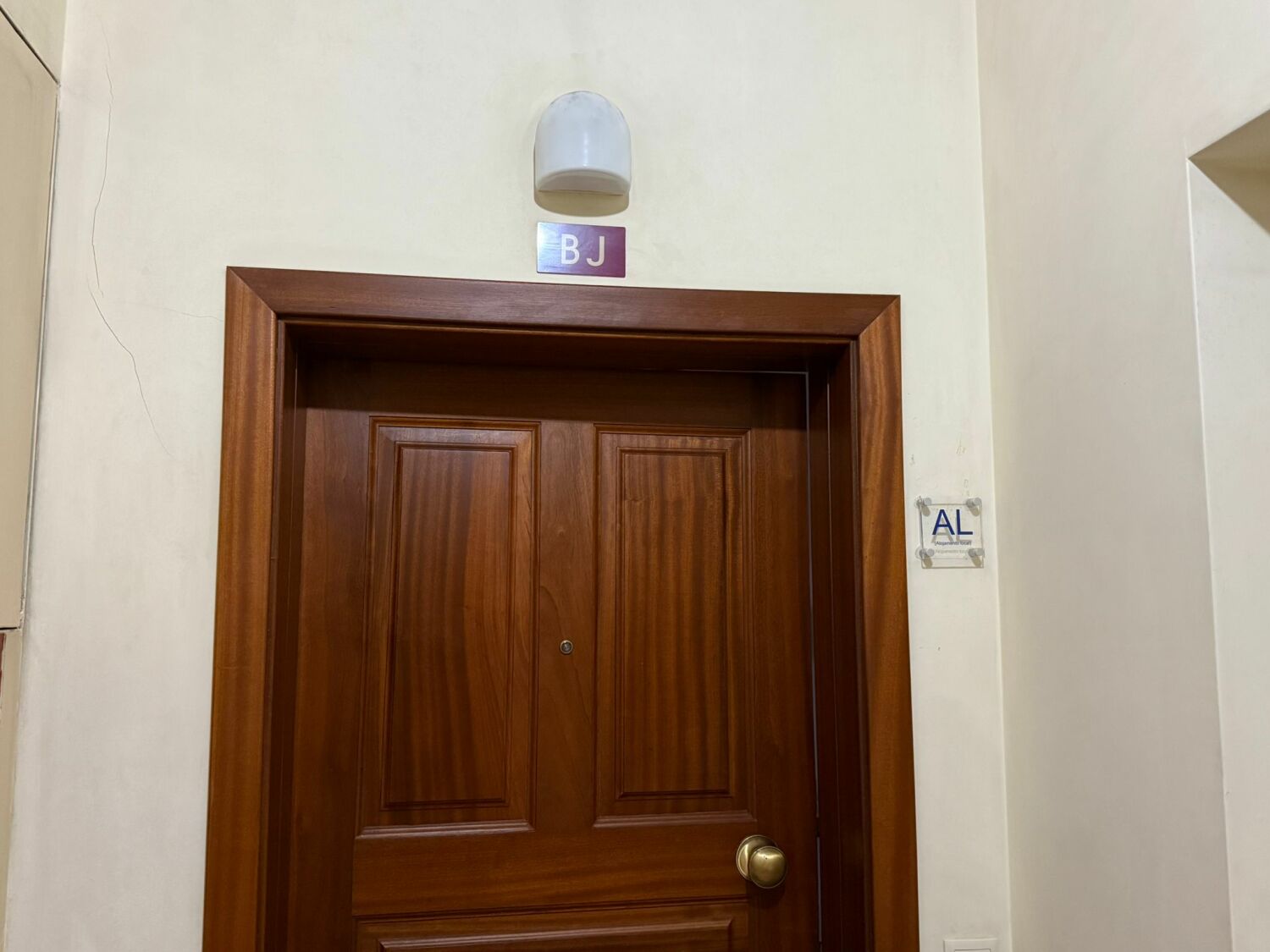 WhatsApp Image 2026-02-10 at 7.10.38 PM.jpeg