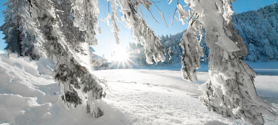 40 shutterstock_1893107461.jpg