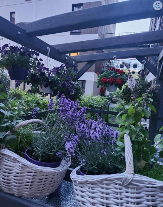 ogrodek koszykii 2.jpg