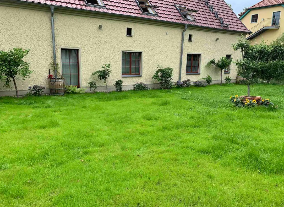 WhatsApp Image 2024-10-16 at 16.29.45 (36).jpeg