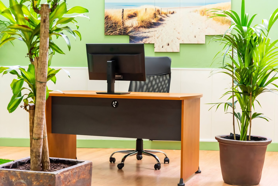 Coworking space 2