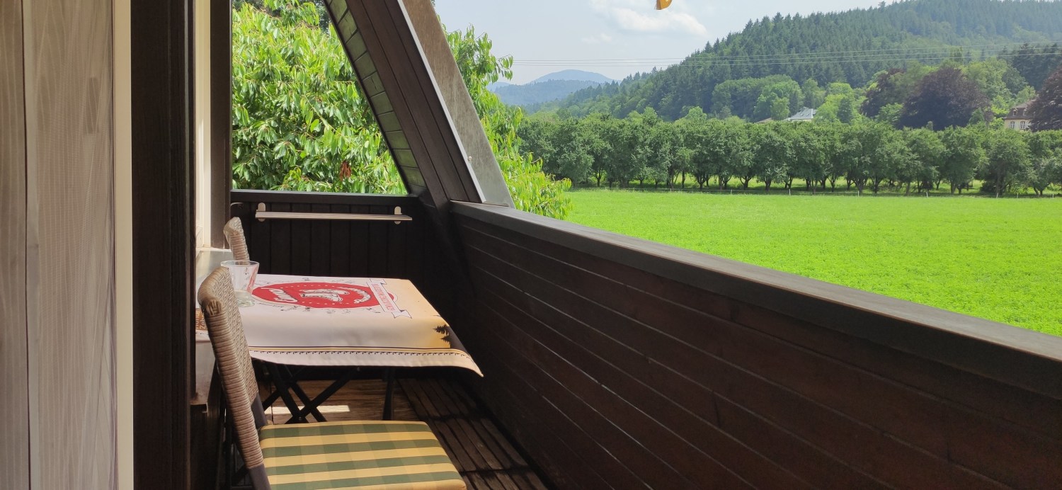 Balkon_Belchenblick.jpg