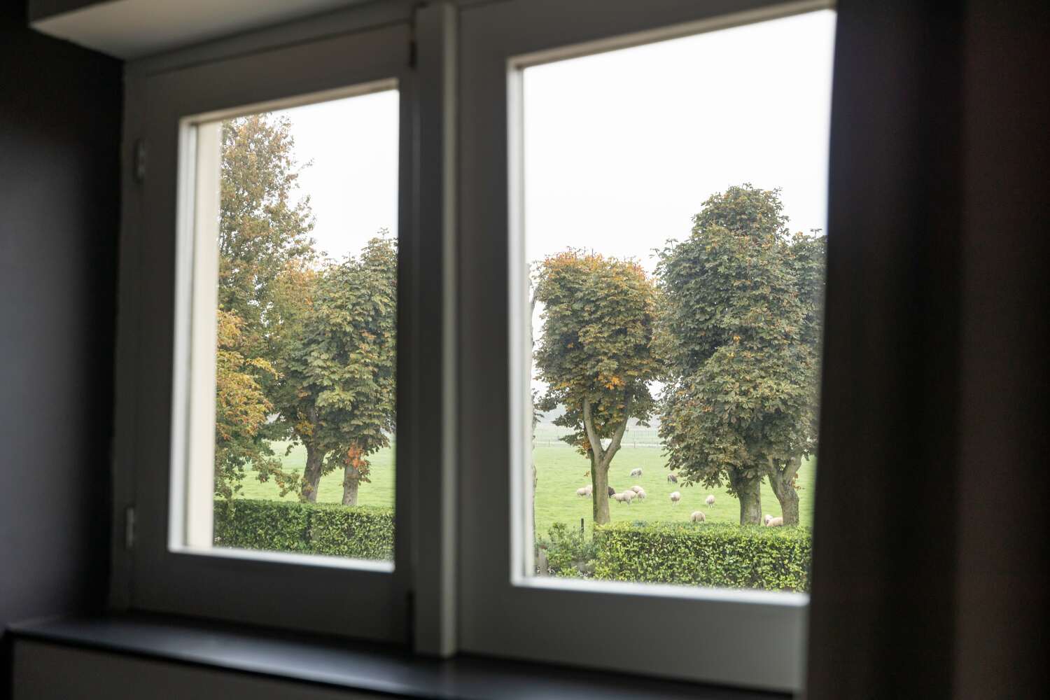 Bed and breakfast Olaf-10-min.jpg