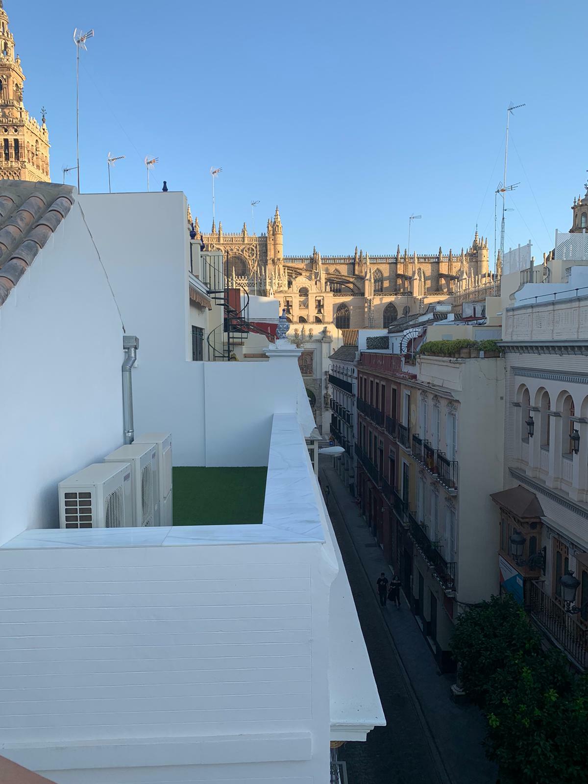 WhatsApp Image 2020-07-29 at 19.40.38.jpeg