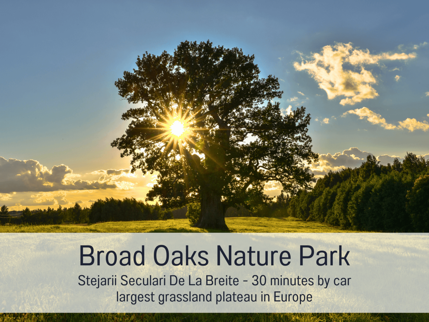 Blockhaus Malmkrog_Broad Oaks Nature Park.png