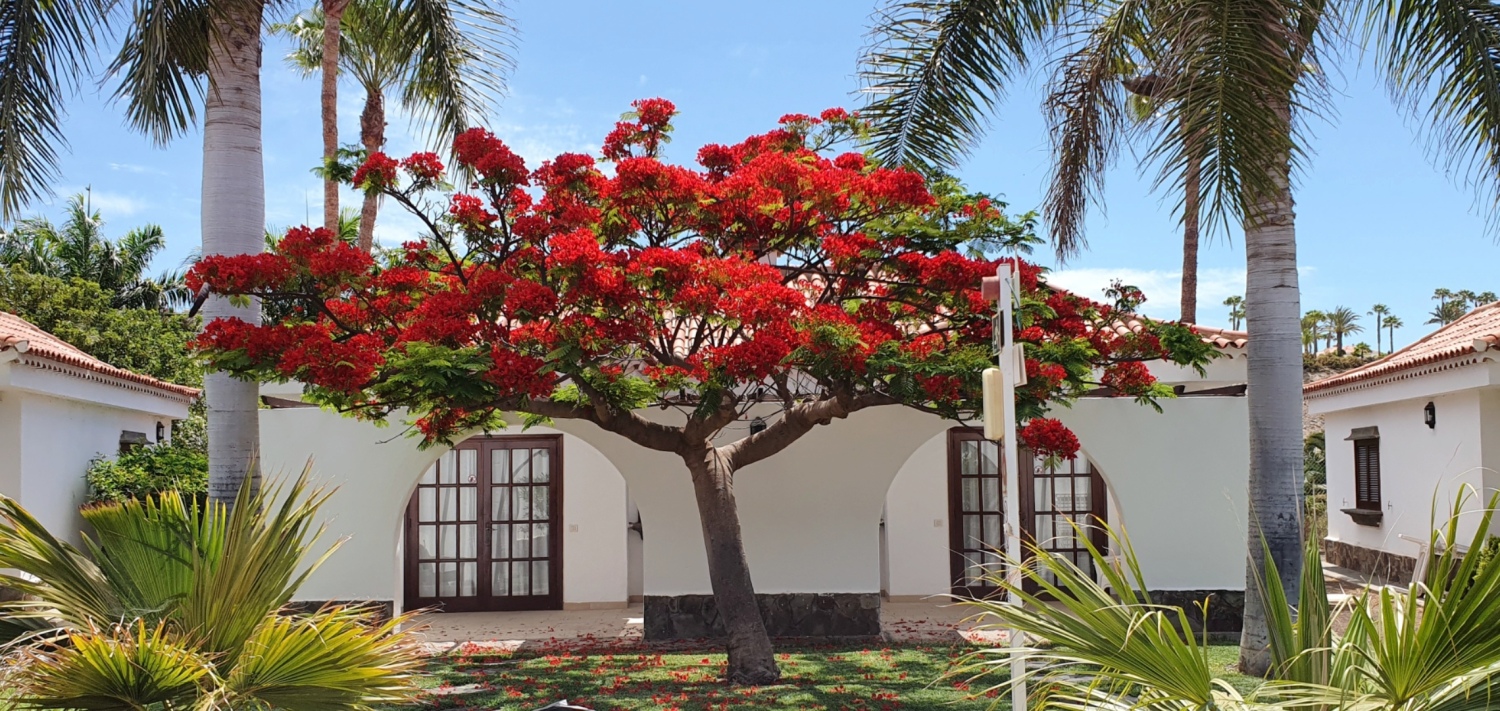 Screenshot_20220106-230350_Gallery (1).jpg