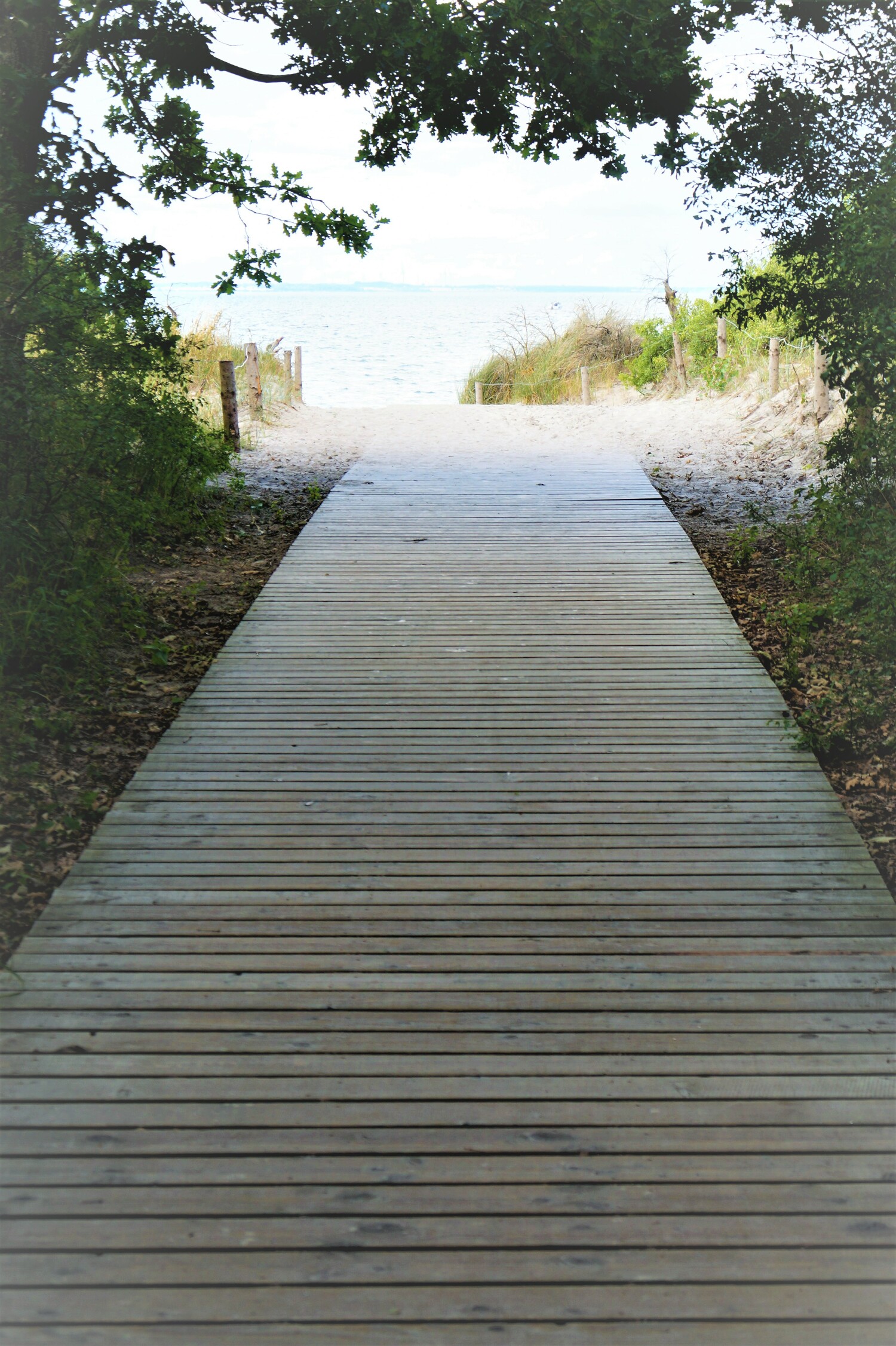 Weg zum Strand_final.jpg