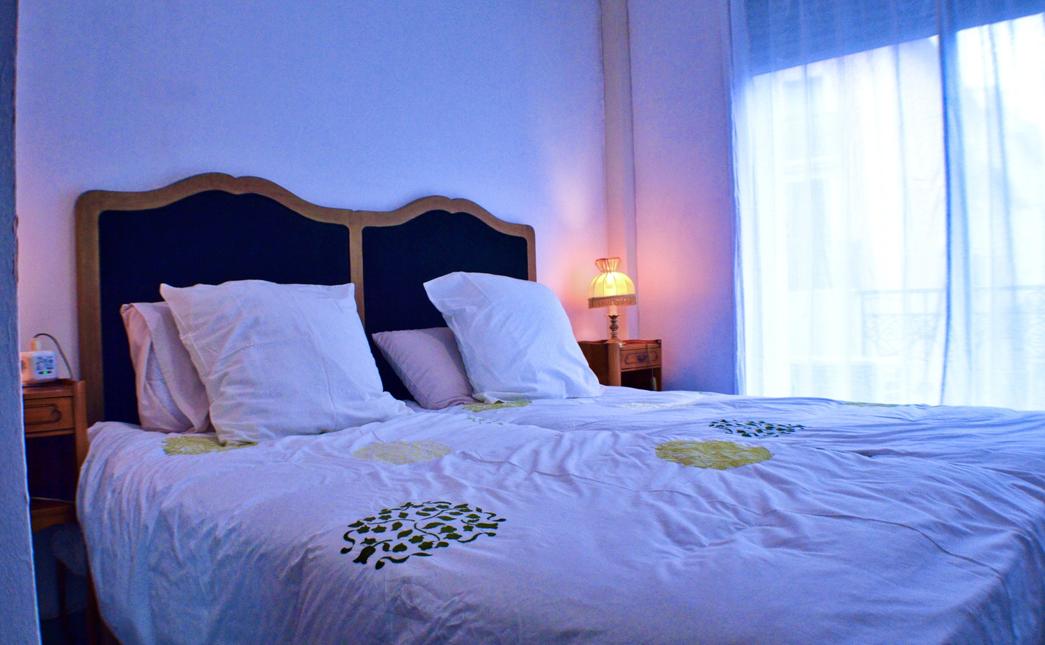 beziersapart chambre 2 lits en 90.jpg