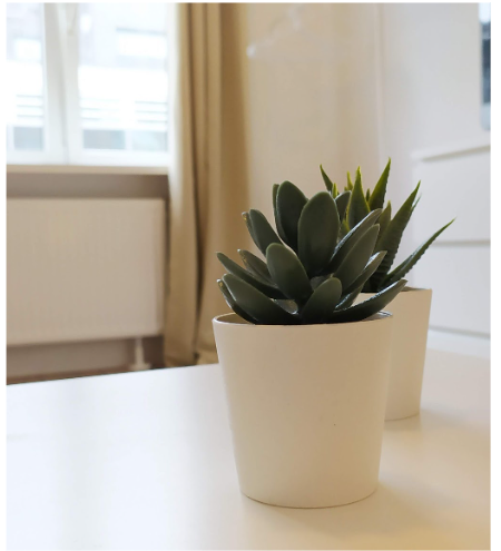 Rathaus III. OG_1.png